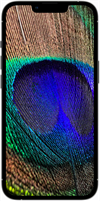 اپل  iPhone 13ProMax-128G-R6-NOT